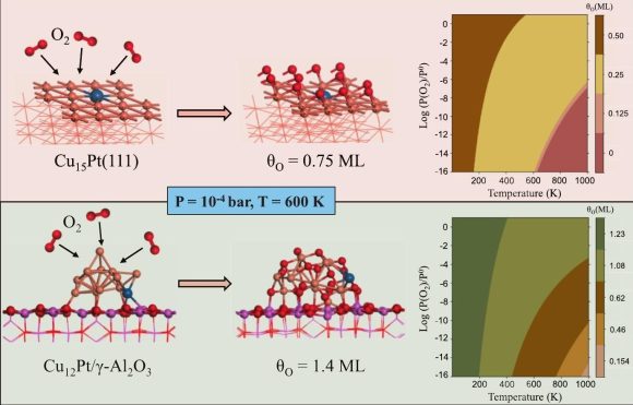 Obrázek článek Masoud