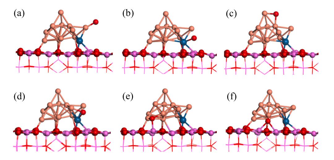 Obrázek článek Masoud
